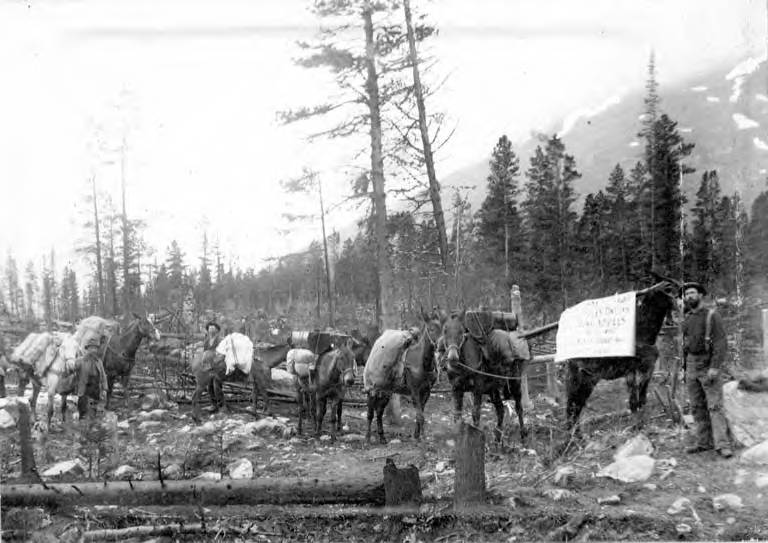 The King of Skagway (c. 1898)